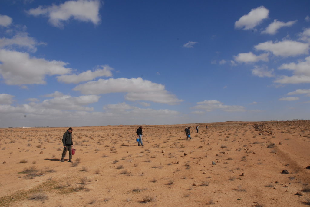 Das Team um Schörner beging die Areale der Dekalogs-Region weiträumig auf der Suche nach Keramikscherben.