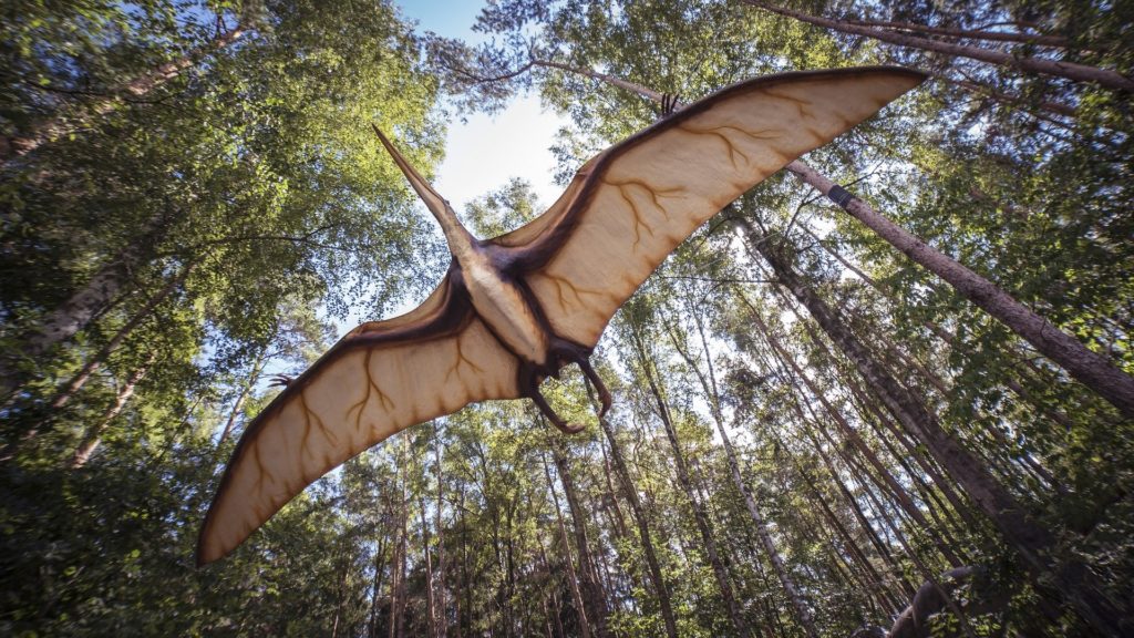 Ein Pterodactyl-Flugsaurier von unten im Flug unter Baumkronen.