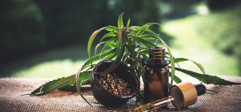 Eine Cannabispflanze und ein Fläschchen Medizin