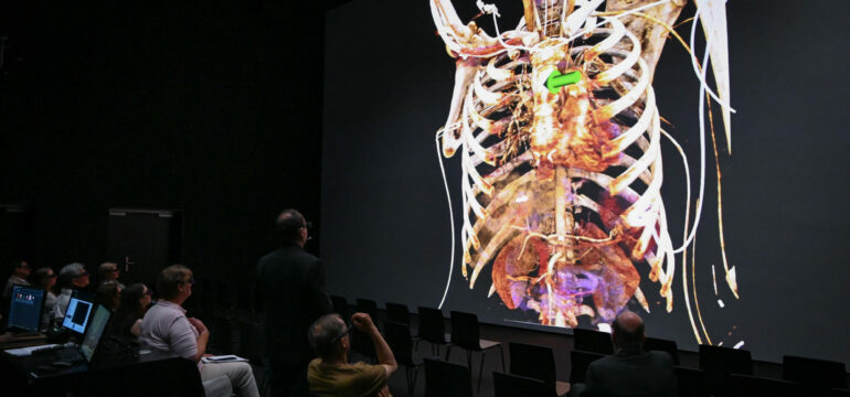 Virtuelle Anatomie-Bilder eines menschlichen Körpers.