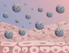 Illustration von HP-Viren, die Epithelzellen im Gebärmutterhals befallen.