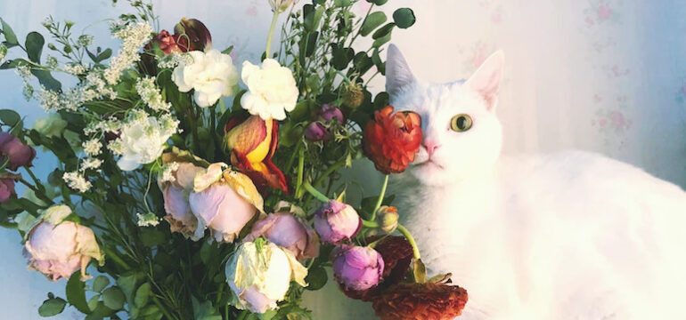 Eine weiße Katze sitzt neben einem Blumenstrauß.