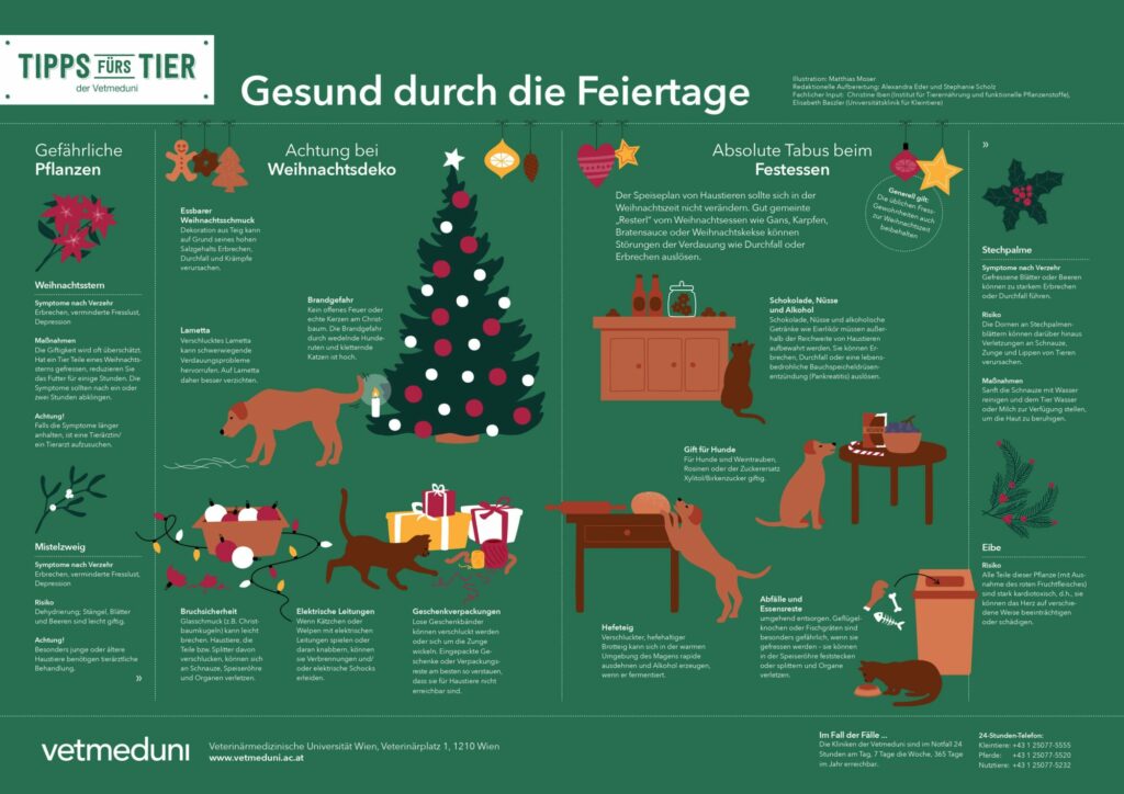 Grafik der Veterinärmedizinischen Universität Wien zum Thema Weihnachten mit dem Haustier.