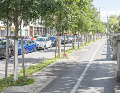 Nach dem Stockholm-System errichtete Baumrigolen entlasten das Kanalsystem und bekämpfen den Hitzeinsel-Effekt.