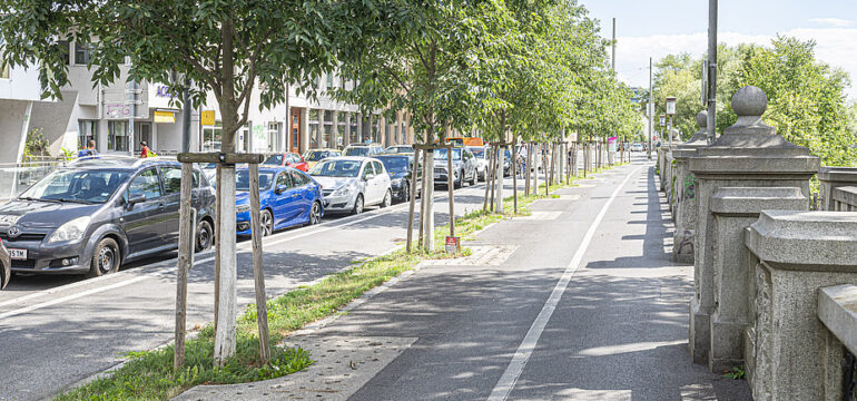 Nach dem Stockholm-System errichtete Baumrigolen entlasten das Kanalsystem und bekämpfen den Hitzeinsel-Effekt.