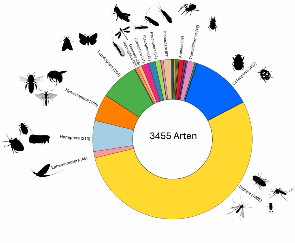 Grafik zur Insektenvielfalt: Knapp 3.500 Insektenarten wies das Forschungsteam im Rahmen des Monitoringprojektes nach.