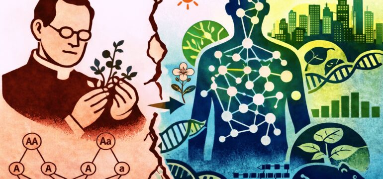 Vom einfachen Mendelschen Vererbungsmodell zur komplexen Realität: Viele Merkmale entstehen aus dem Zusammenspiel zahlreicher Gene – und werden zusätzlich durch Umwelt und genetischen Hintergrund geprägt.